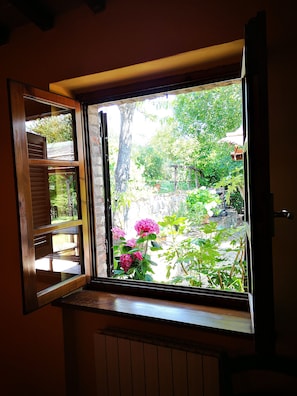View from room