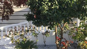 Un jardín con una cerca blanca, una palmera y varios arbustos.