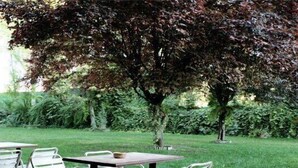 Un espace extérieur aménagé en terrasse, avec des tables et des chaises, entouré d’une végétation luxuriante et d’arbres.