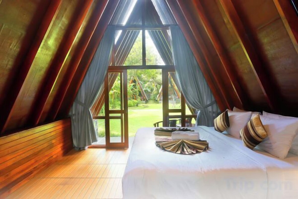 Premium bedding, minibar, blackout curtains, iron/ironing board