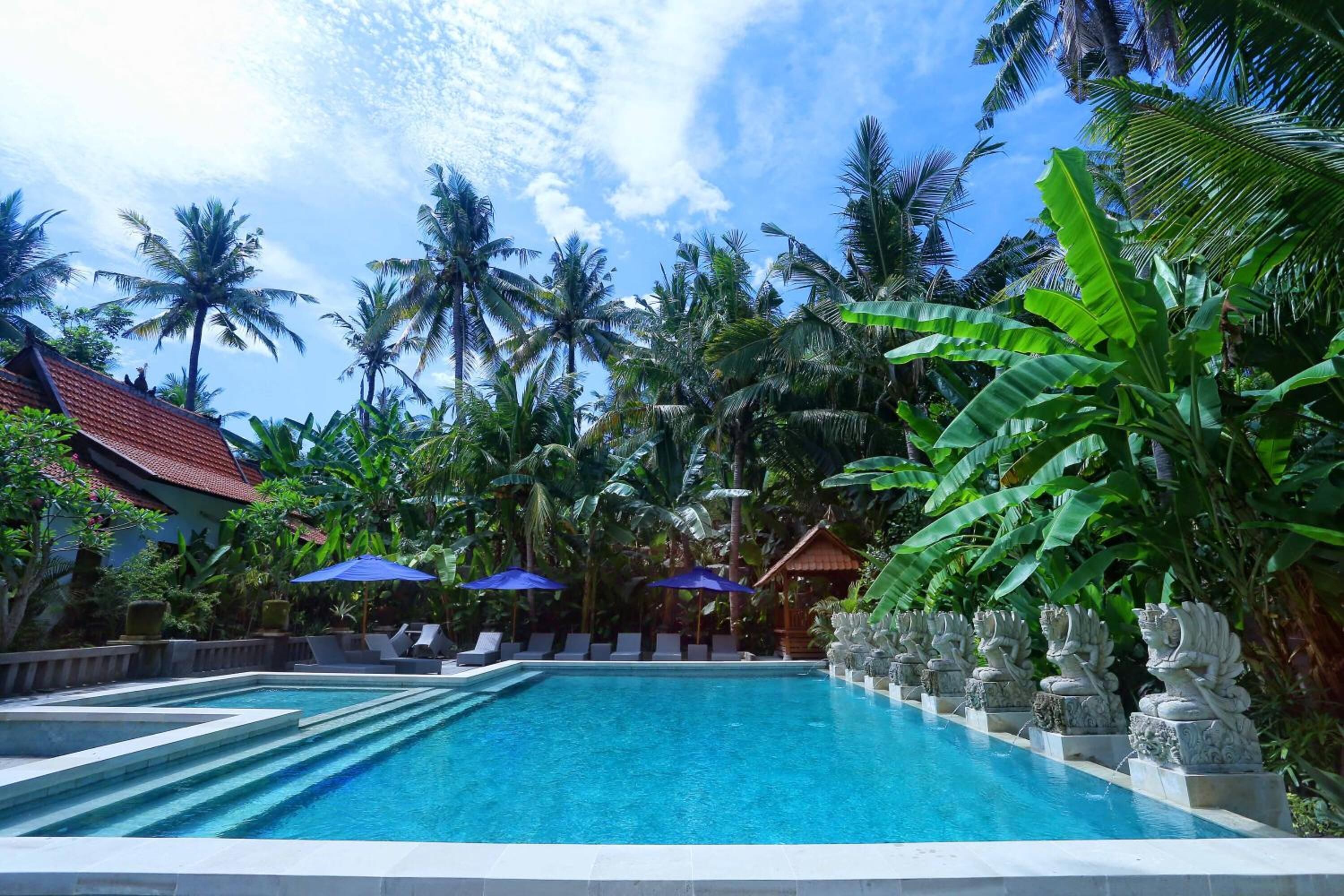 Hồ bơi