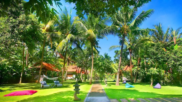 A tropical garden with palm trees, a pathway, and outdoor seating areas. - Dewantara Resort Bali (Gerokgak)