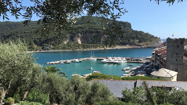 A coastal marina with boats docked, surrounded by lush greenery and a historic tower. - Relais Santa Caterina (Portovenere)