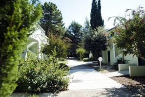 A residential street with houses, greenery, and a sidewalk.