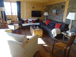 TV, fireplace, DVD player, books