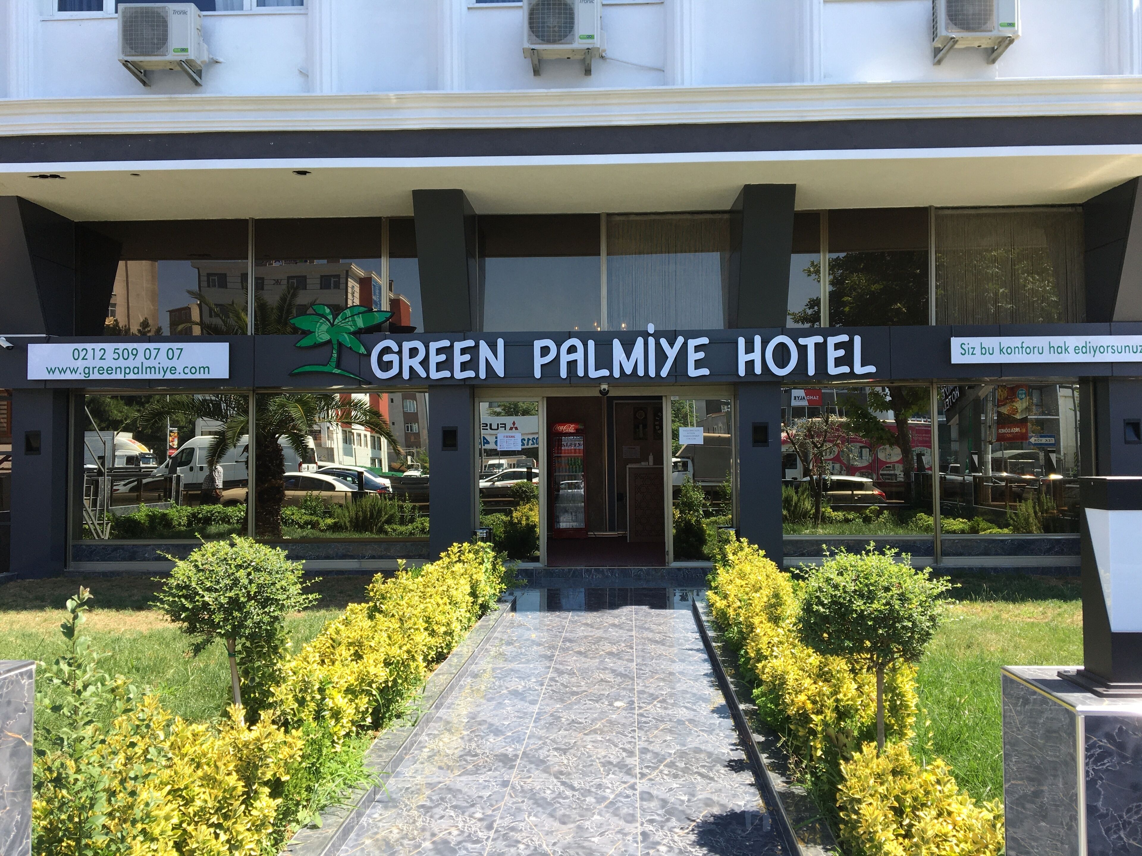 Green Palmiye