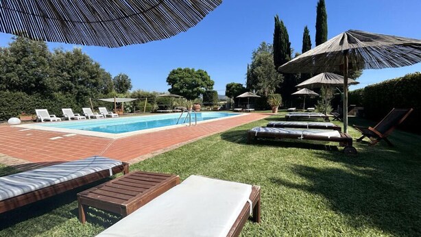 A swimming pool with lounge chairs and umbrellas, surrounded by grass and trees. - Agriturismo La Quercia - Wine&Pool (Scansano)