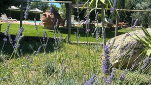A garden with lavender, a pergola, and a pool area. - Agriturismo La Quercia - Wine&Pool (Scansano)
