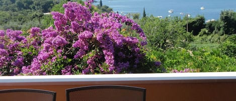 Apartment (One Bedroom Apartment with Terrace) | Terrace/patio