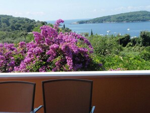 Apartment (One Bedroom Apartment with Terrace) | Terrace/patio - Apartment Luna (Konavle)