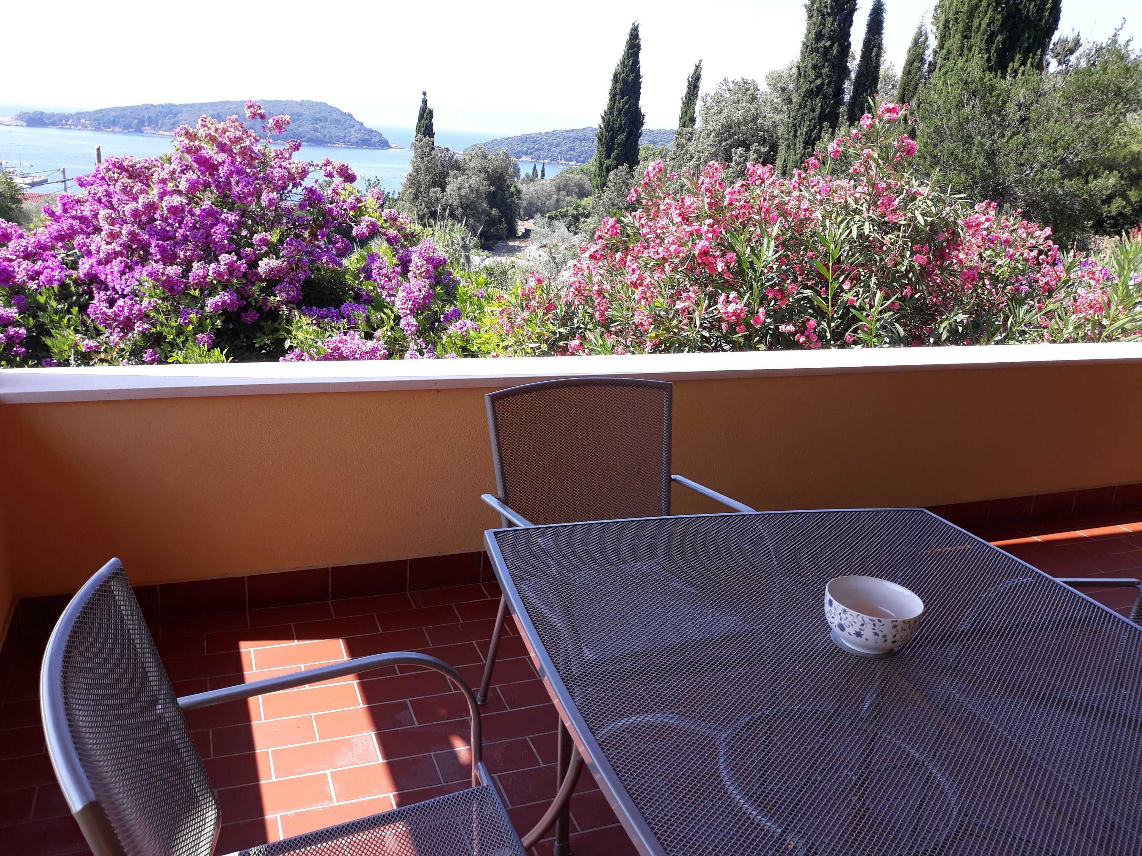 Apartment (One Bedroom Apartment with Terrace) | Terrasse/Patio