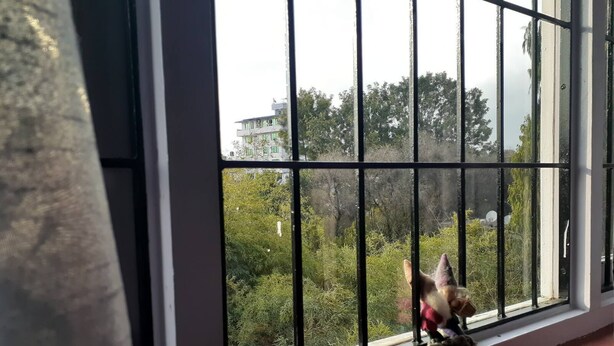 A window with metal bars, a view of greenery and buildings outside. - A Dutch Nepali home with a beautiful view (kathmandu)