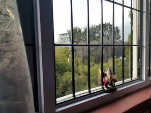 A window with metal bars, a view of greenery and buildings outside. - A Dutch Nepali home with a beautiful view (kathmandu)