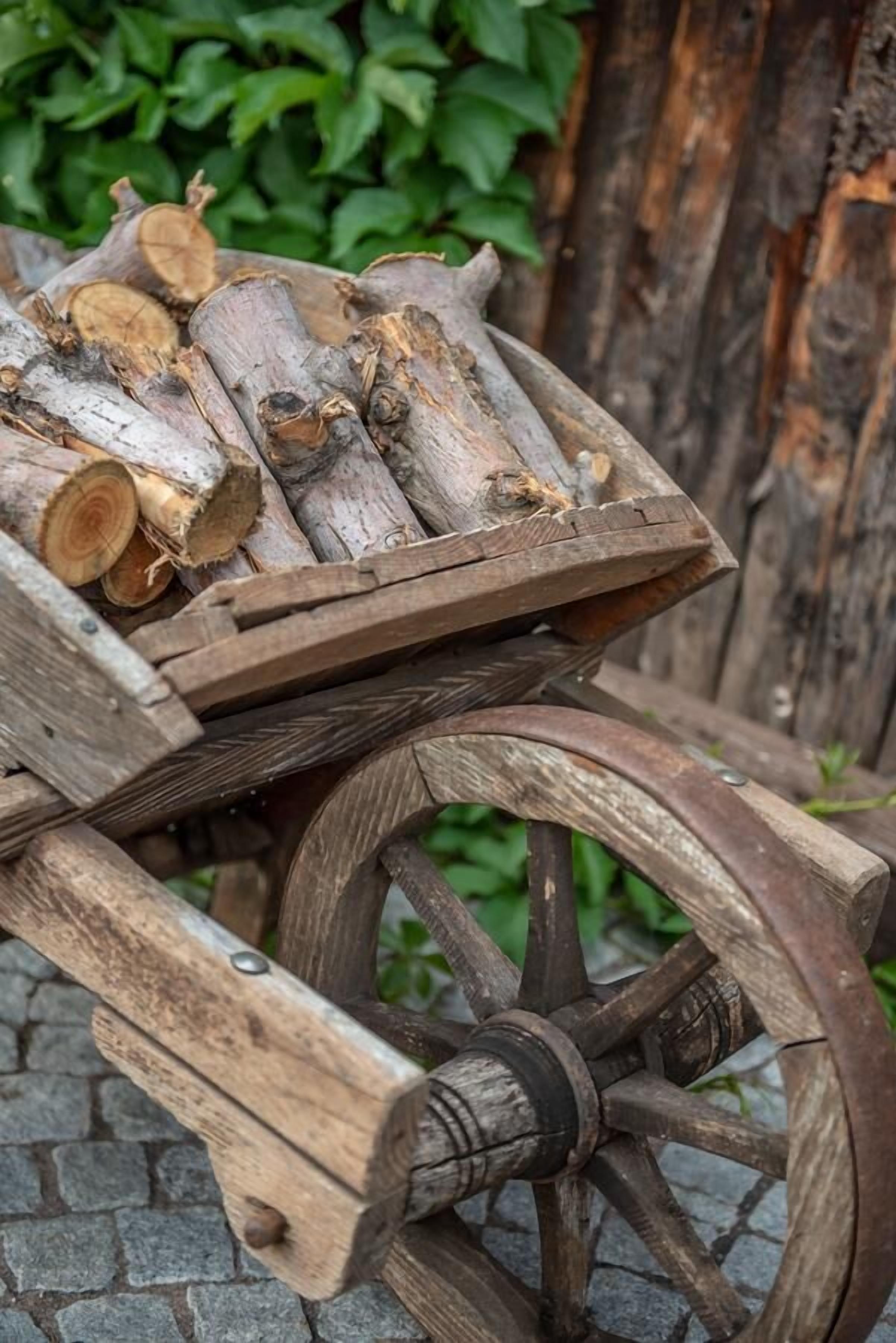 A wooden cart with logs.