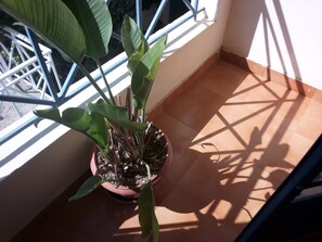 Rom – executive | Balkong