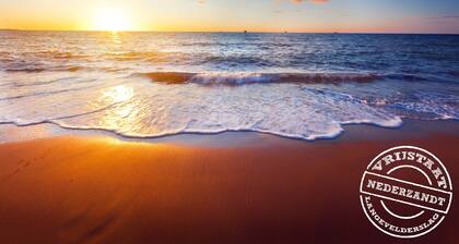 Beautifully renovated loft with sauna close to the Keukenhof and the beach