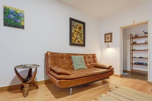 Smart TV, fireplace, books