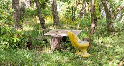 Quinta Senhora da Vida - a house in the middle of the forest, overlooking the sea