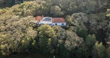 Quinta Senhora da Vida - a house in the middle of the forest, overlooking the sea