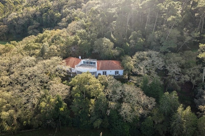 Quinta Senhora da Vida - a house in the middle of the forest, overlooking the sea