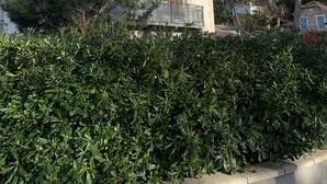 Ein zweistöckiges Haus mit rotem Ziegeldach, einem Balkon mit Geländer und einer dichten Hecke im Vordergrund.
