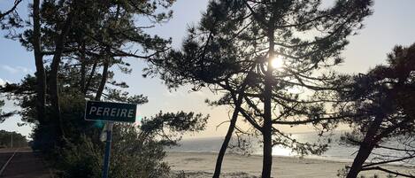 On the beach, sun-loungers, beach towels