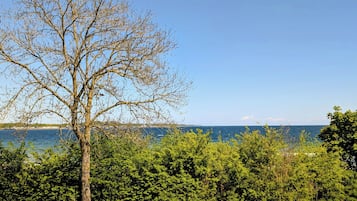 A tree-lined path leading to a body of water with a clear sky.