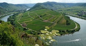 Aerial view - Moselfrische - Fh with 2 bedrooms, shower / toilet, guest toilet, terrace, max. 4 P (Zell (Mosel))