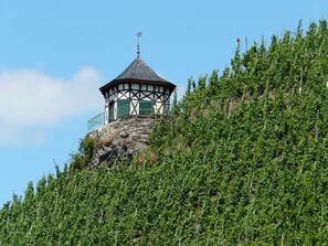 Exterior detail - Moselfrische - Fh with 2 bedrooms, shower / toilet, guest toilet, terrace, max. 4 P (Zell (Mosel))