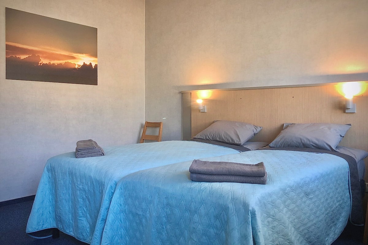 Twin Room, Shared Bathroom | Soundproofing, free WiFi
