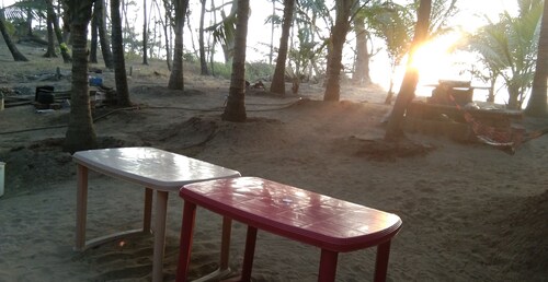 Live young, live free. 