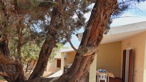 A tree-lined pathway leading to a building with a tiled floor and a small table with chairs. - Villette Sirenella (Aglientu)
