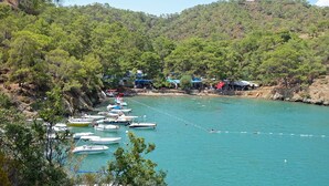 Zona costera con barcos amarrados a la orilla, rodeada de abundante vegetación y colinas.
