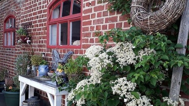 Une maison en briques avec un porche blanc, un nichoir et des plantes à fleurs blanches.