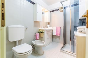 Shower, hair dryer, bidet, towels