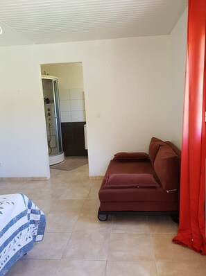 Une pièce avec un canapé marron, un lit recouvert d’une couverture à motifs, un espace douche et un rideau rouge.