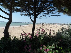 A beach with trees and flowers in the foreground, a sandy beach in the middle, and a cityscape in the background. - Rv Sidence New Rochelle (La Rochelle)