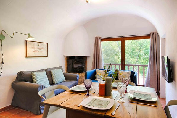 TV, fireplace, DVD player, books