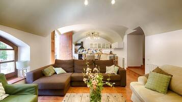 TV, lareira, DVD player, livros