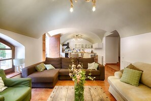 TV, fireplace, DVD player, books