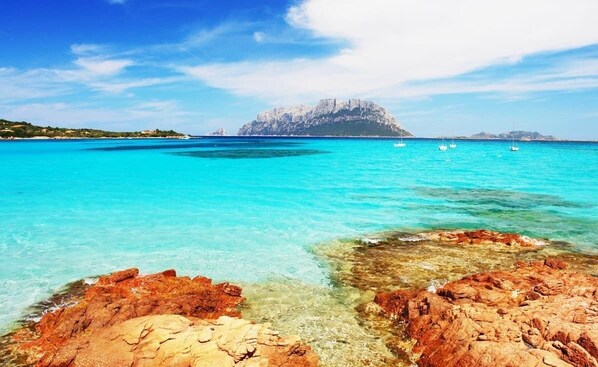 A coastal scene with clear turquoise waters, rocky foreground, and a prominent mountain in the distance. - The residences of the sea 4 (La Caletta)