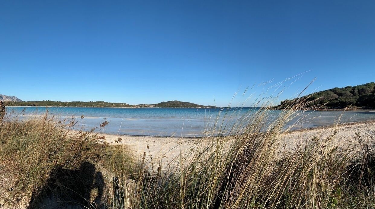 Una spiaggia con acque cristalline blu, una battigia sabbiosa e dune erbose.