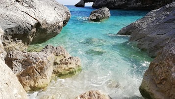 海灘