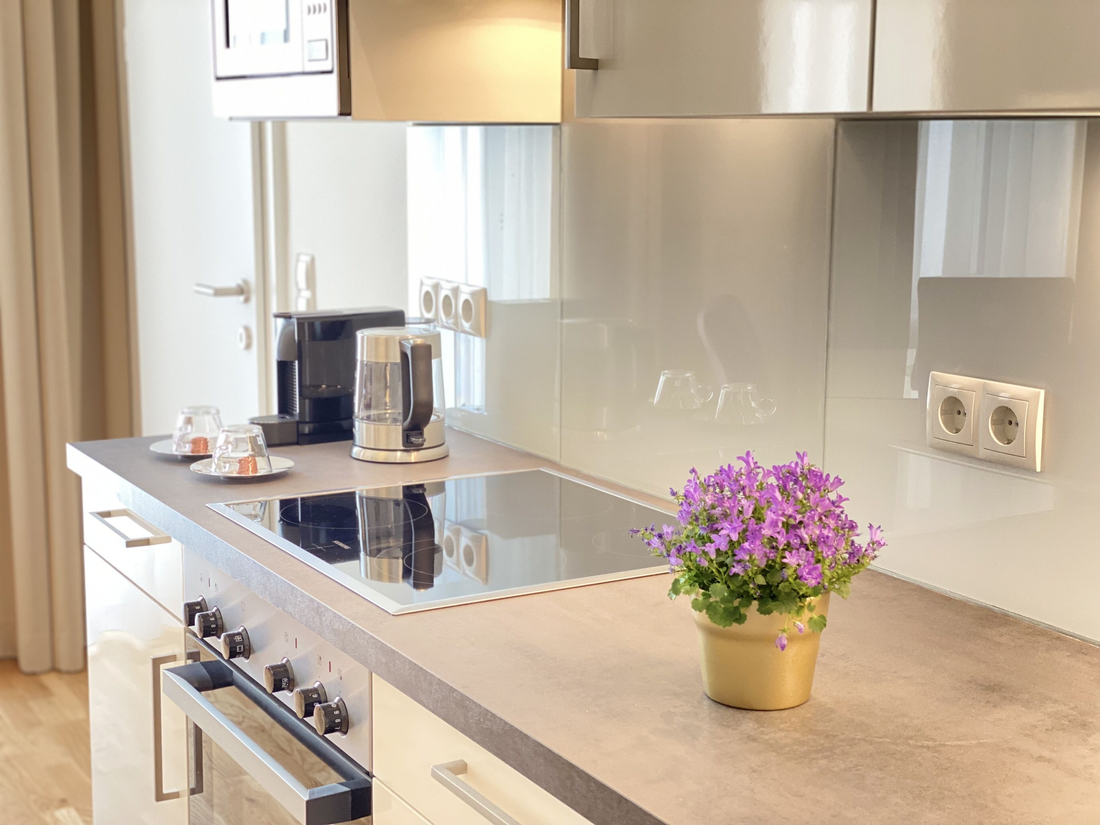 Family Apartment, 2 Bedrooms, Non Smoking, Balcony | Private kitchen