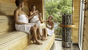 A wooden sauna with benches, a glass-walled sauna room, and a sauna heater.