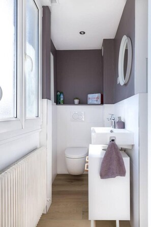 Shower, hair dryer, towels, toilet paper - gite hopla 53m2  centre historique      2br (Colmar)