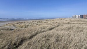 A coastal landscape with dunes and a beach. - Enjoy This 4 Bedroom w/ a Beautiful Yard, Ocean Views and Easy Beach Access! (Seaside)