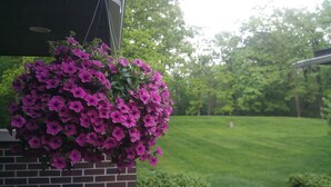 Un cesto di fiori pensili con fiori viola, un muro in mattoni e un prato verde con alberi sullo sfondo.