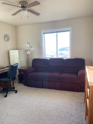 TV, video games, DVD player, video library
