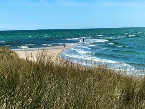 A beach with waves, a person walking, and tall grass in the foreground.